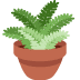 :potted_plant: